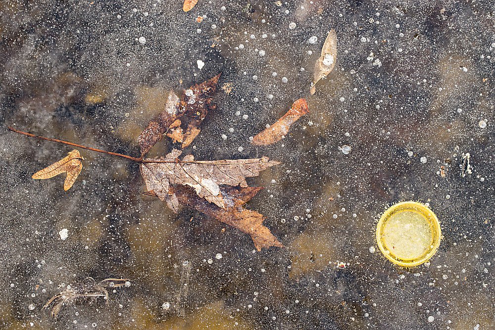 frozen ice yellow cap